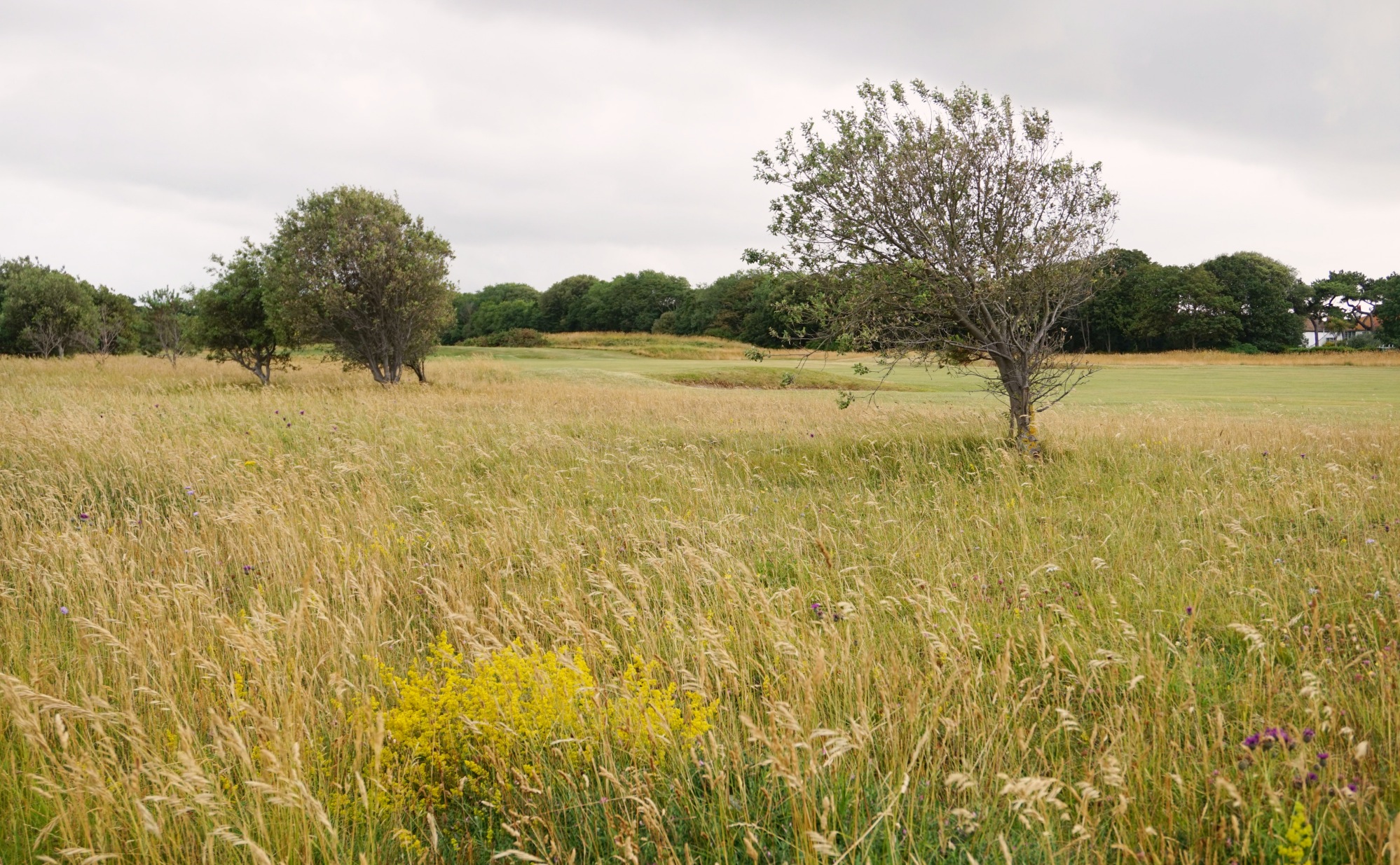 Botany-Bay-Broadstairs-2