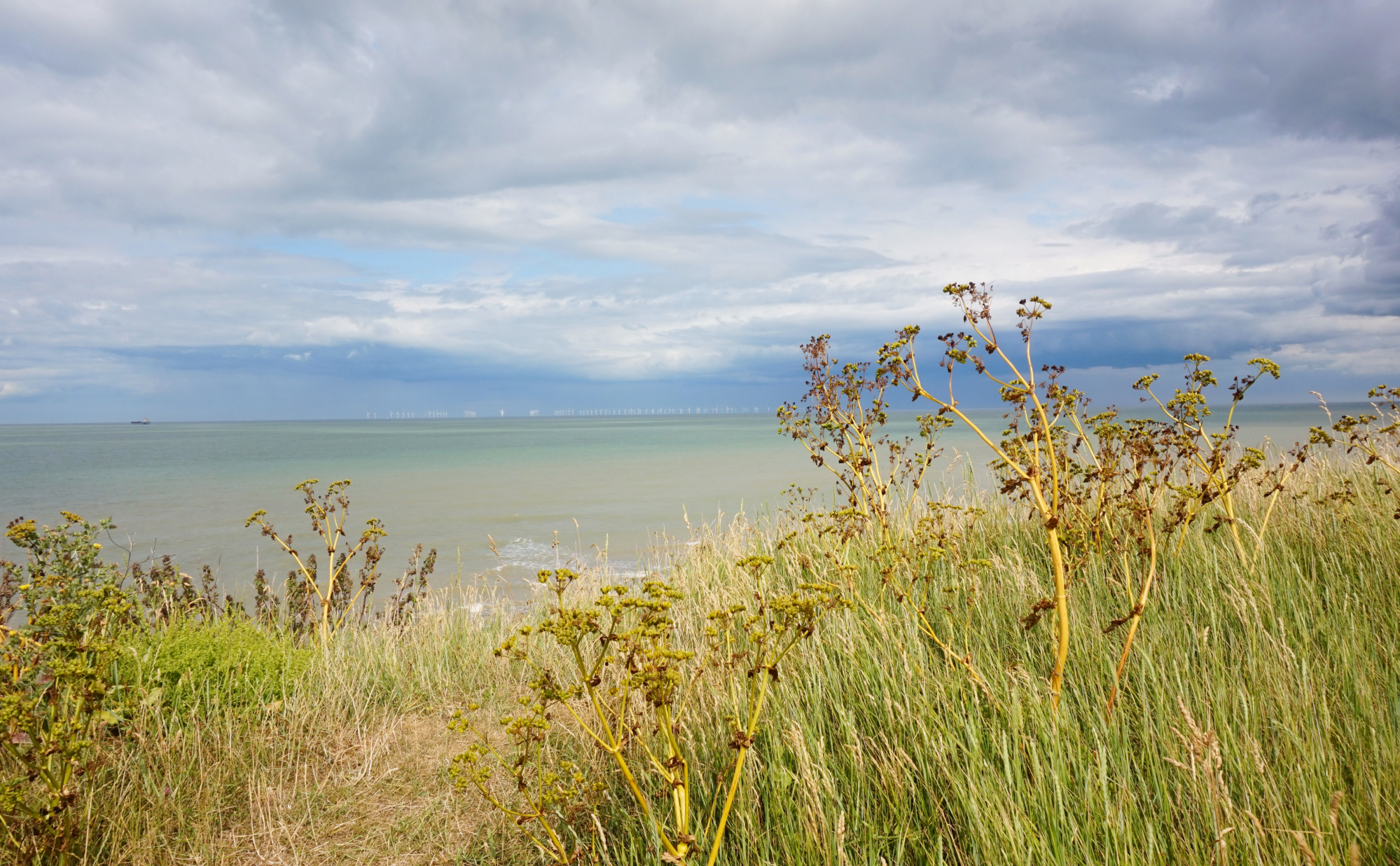 Margate Botany Bay 27