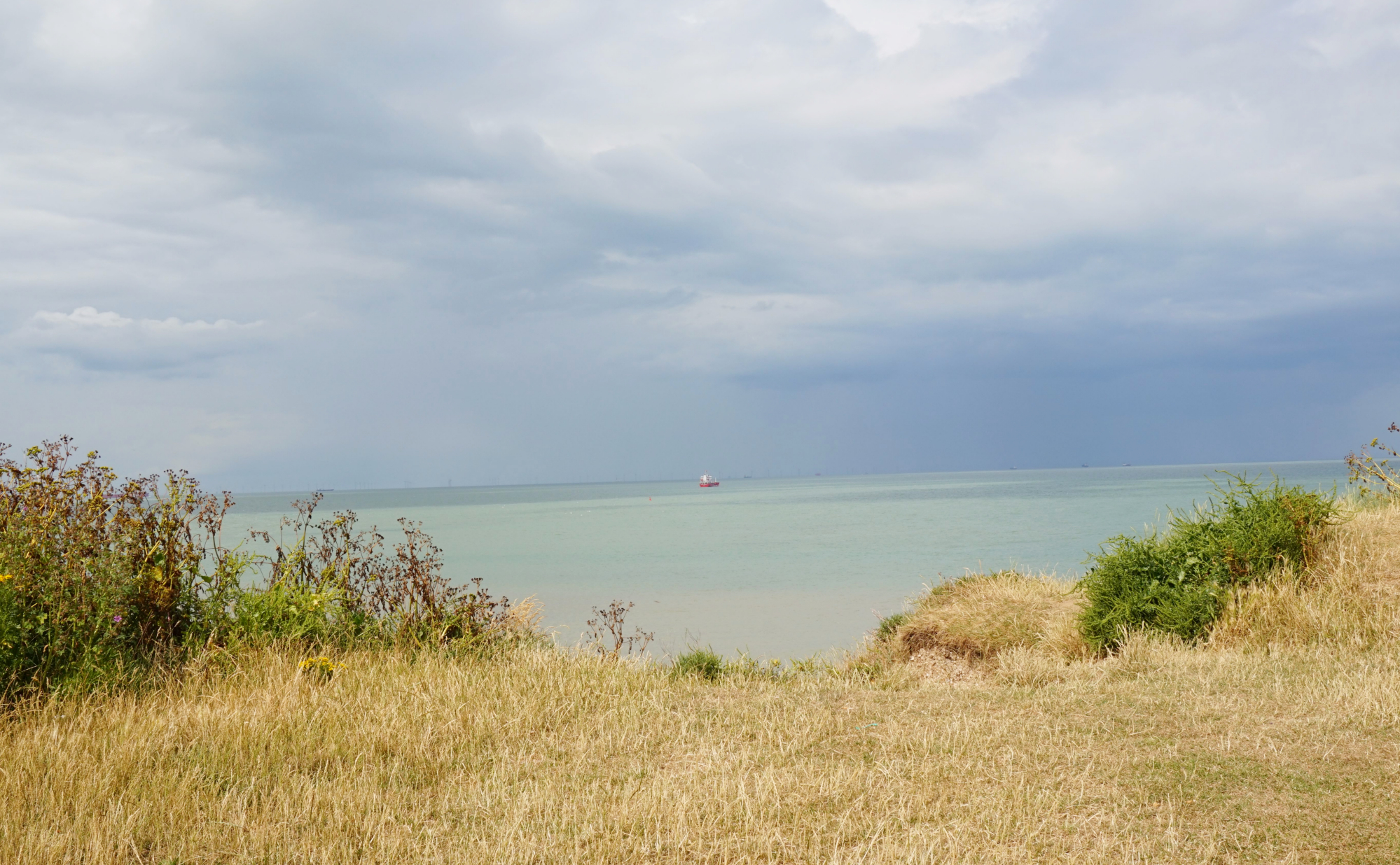 Margate Botany Bay 31