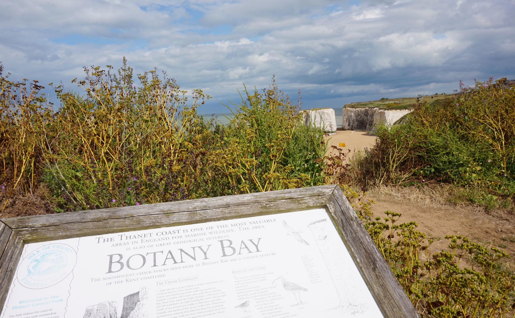 Margate Botany Bay 34