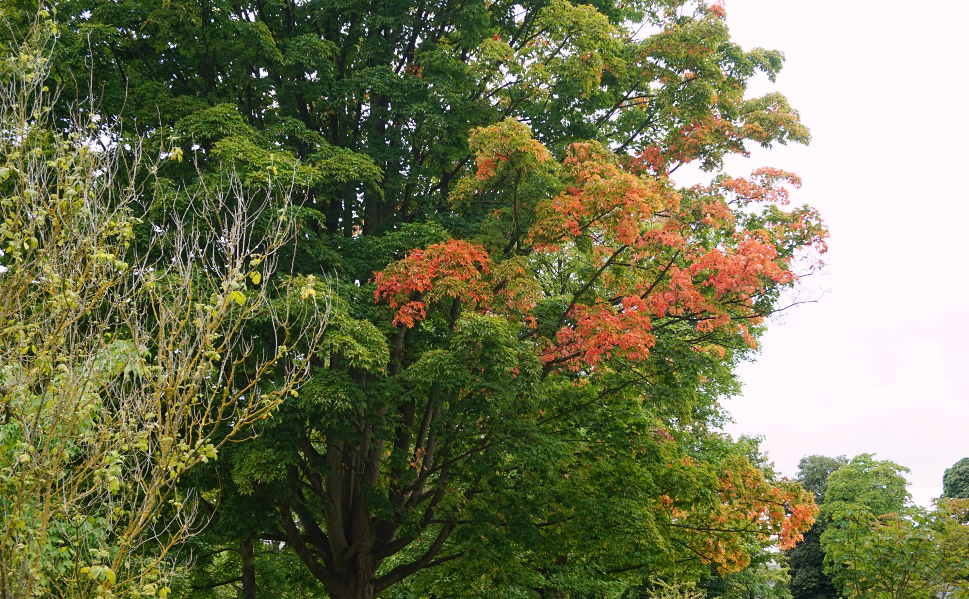 Visiter-Kew-Gardens-1