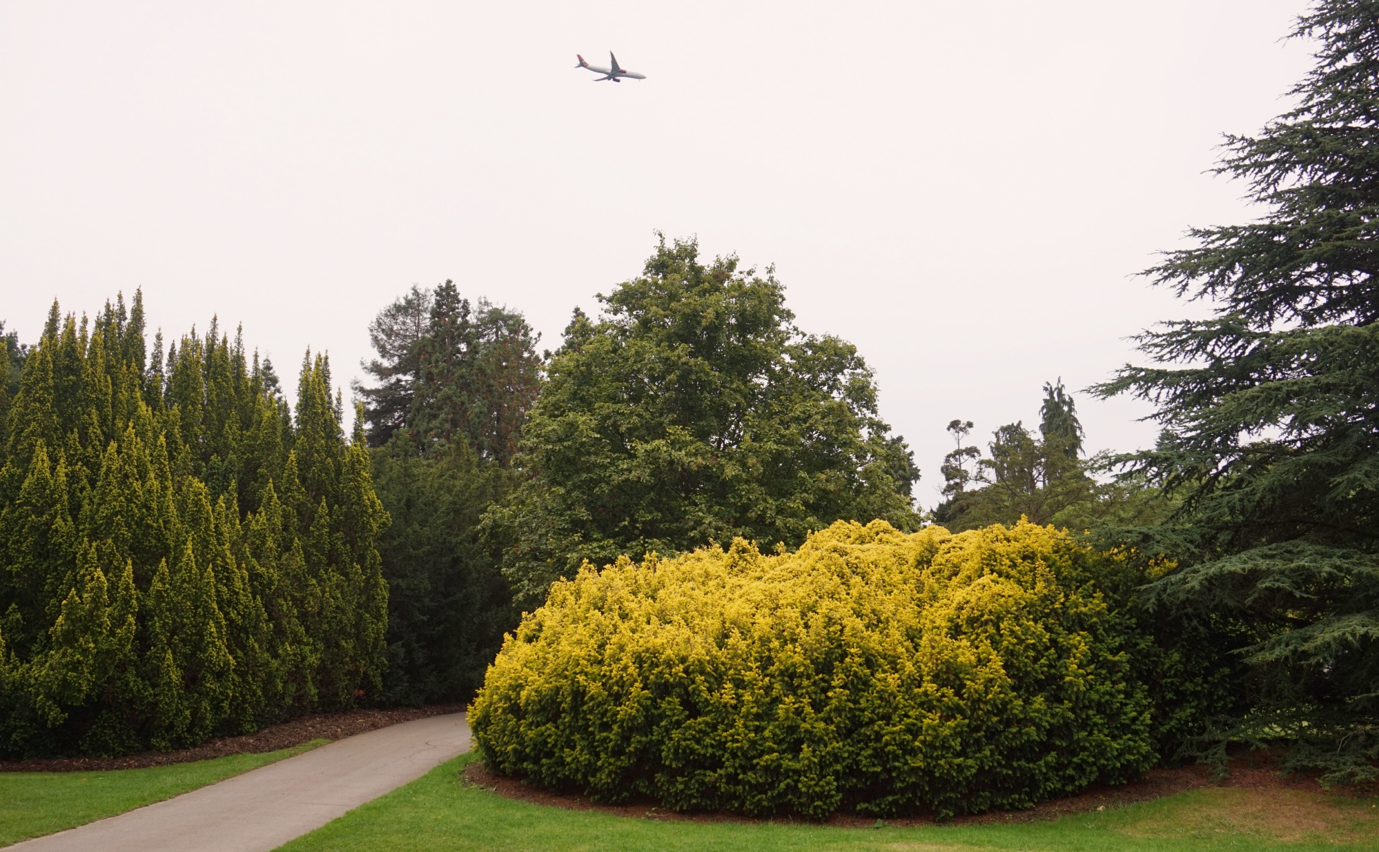 Visiter-Kew-Gardens-10