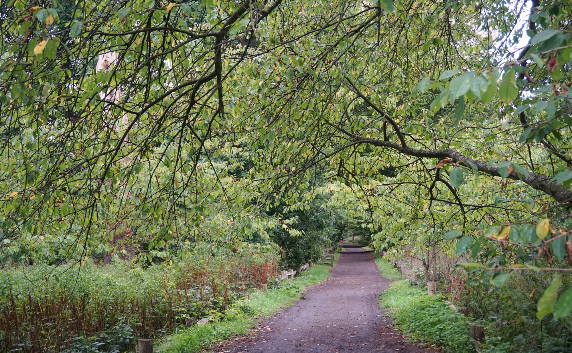 Visiter-Kew-Gardens-13