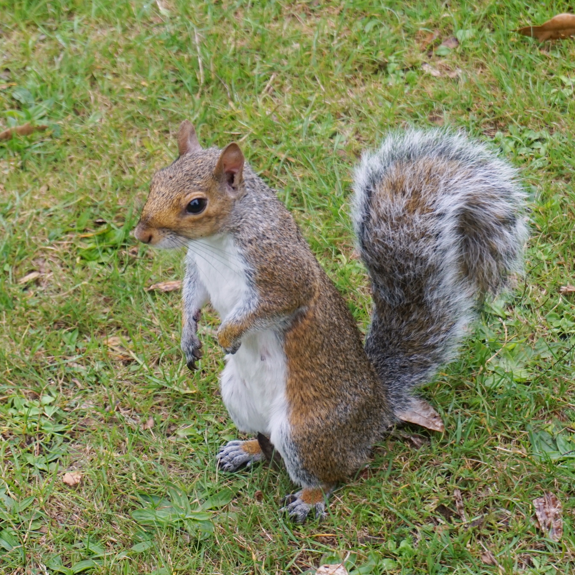 Visiter-Kew-Gardens-16