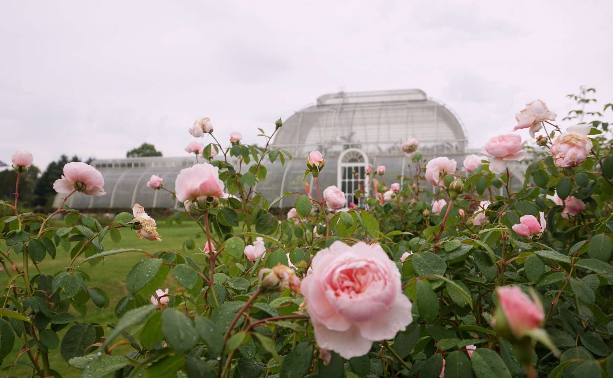 Visiter-Kew-Gardens-18