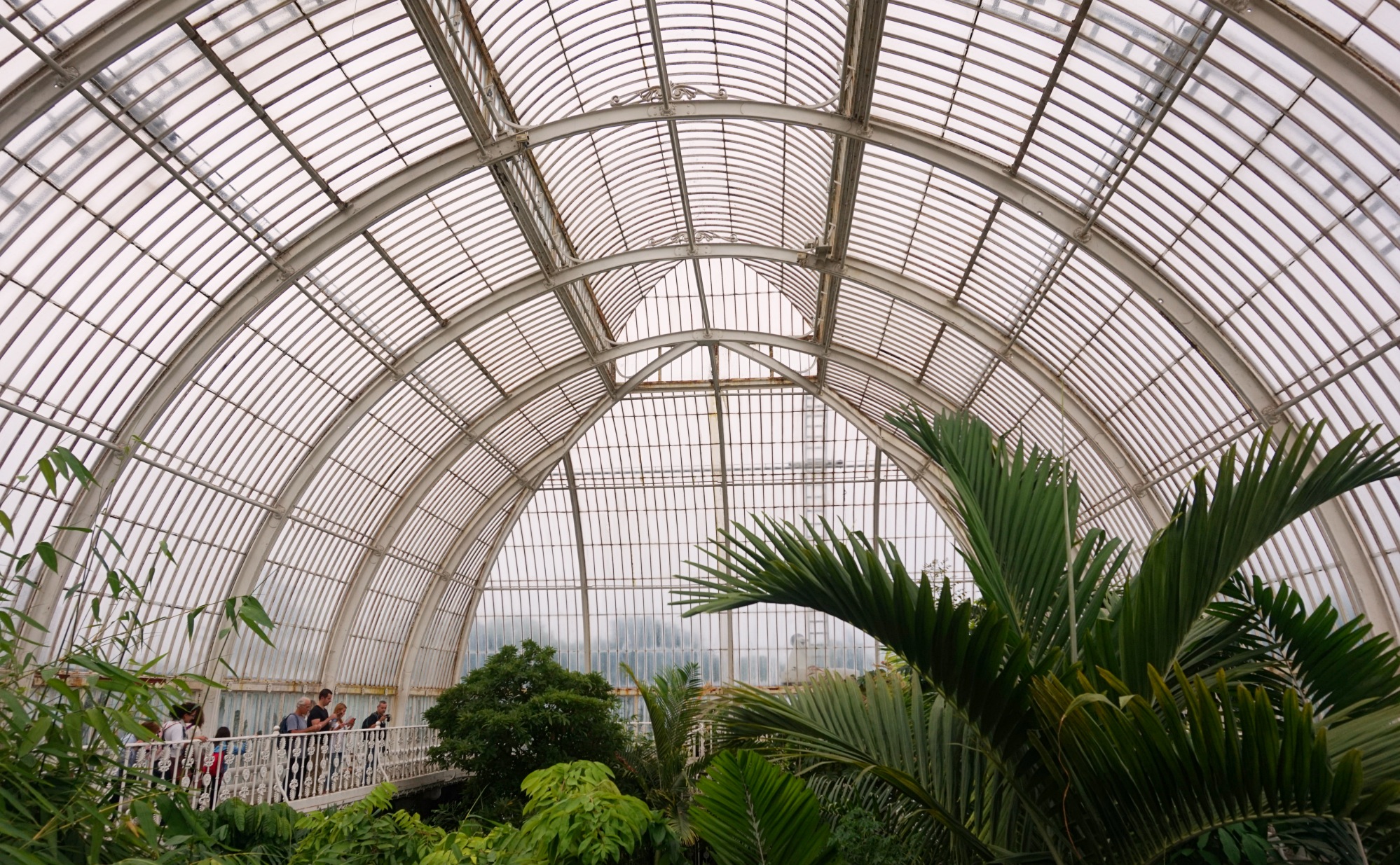 Visiter-Kew-Gardens-24