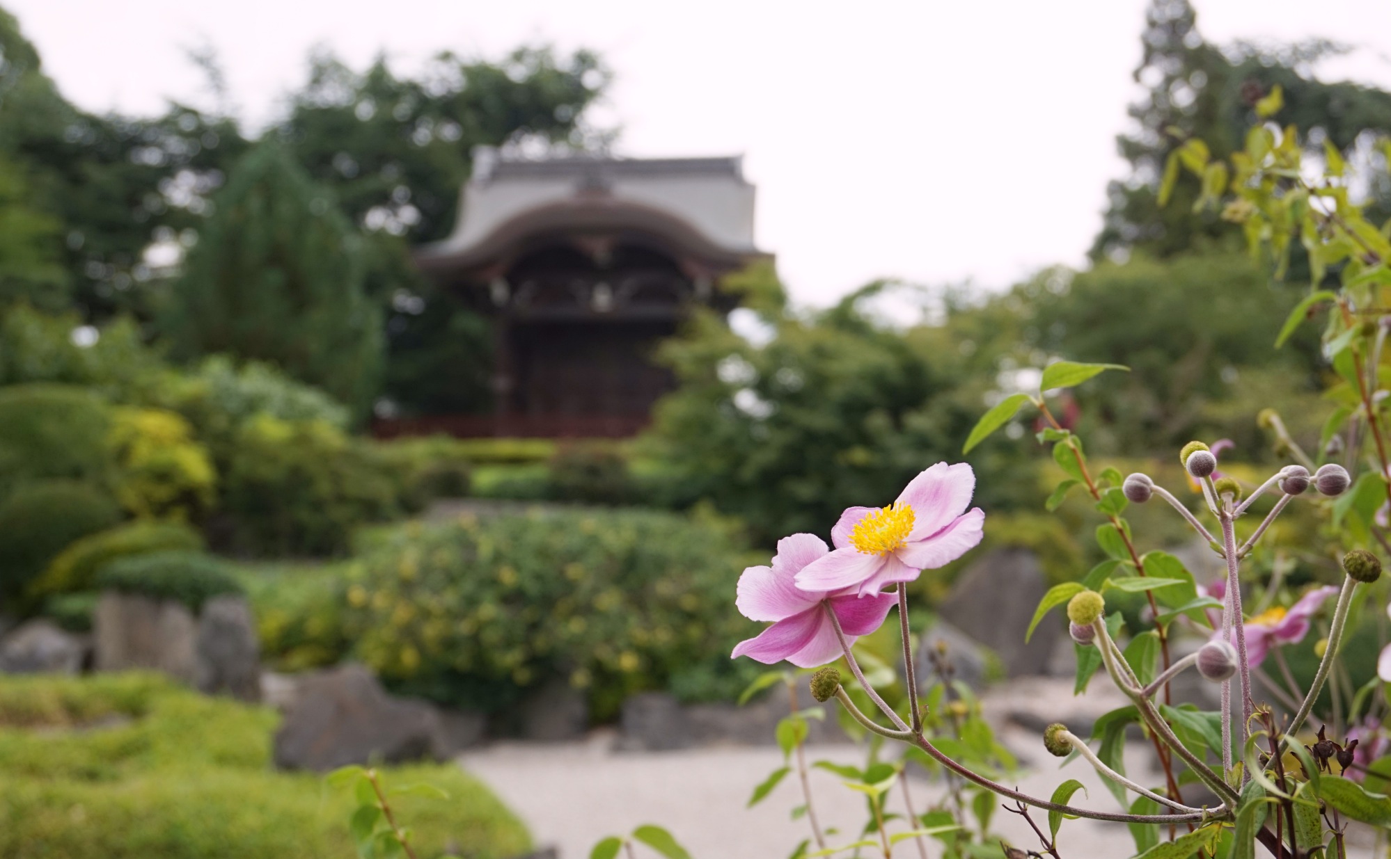 Visiter-Kew-Gardens-3