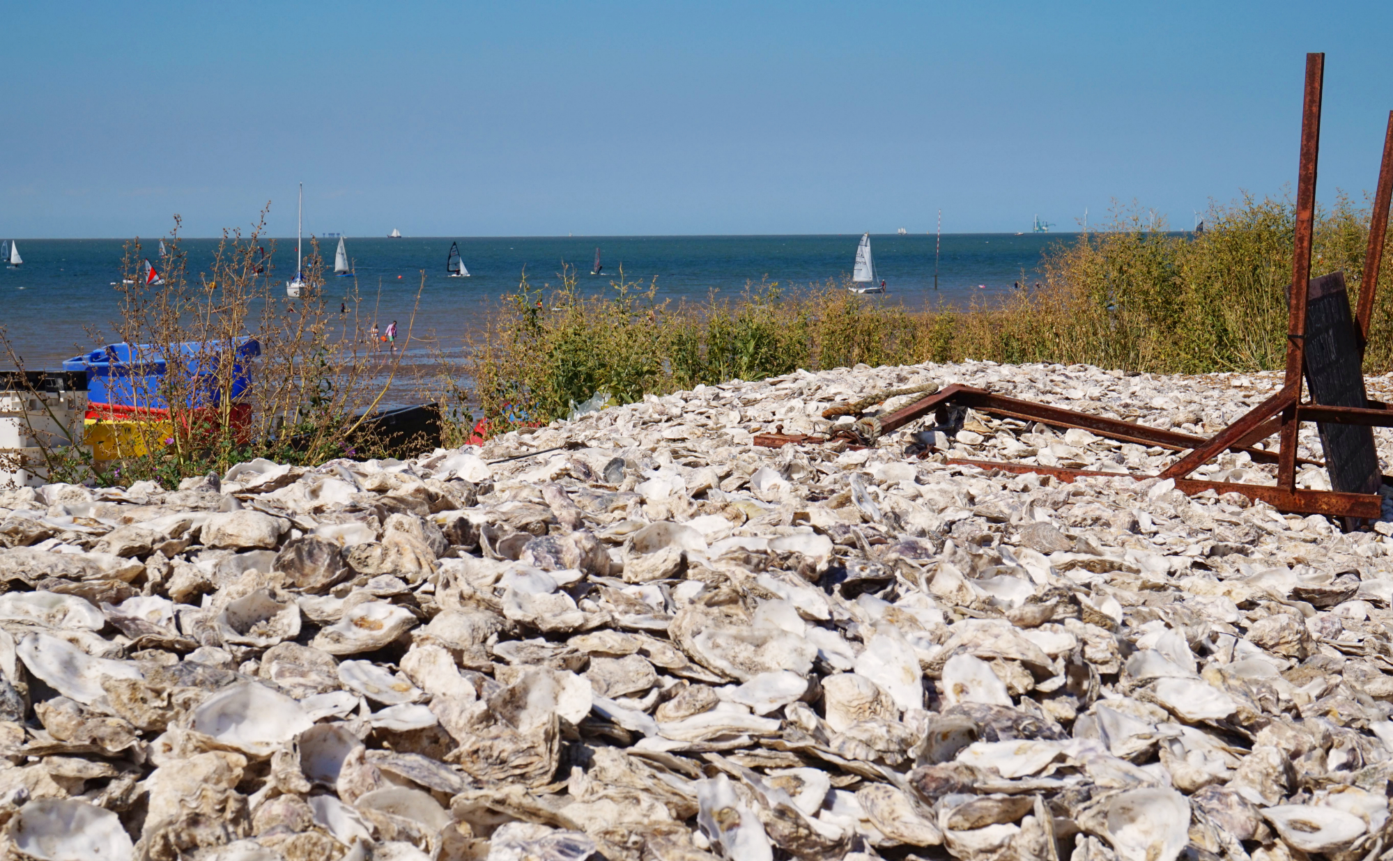 Whitstable-12