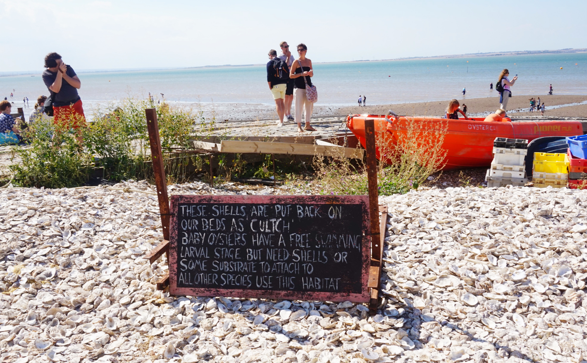 Whitstable-18