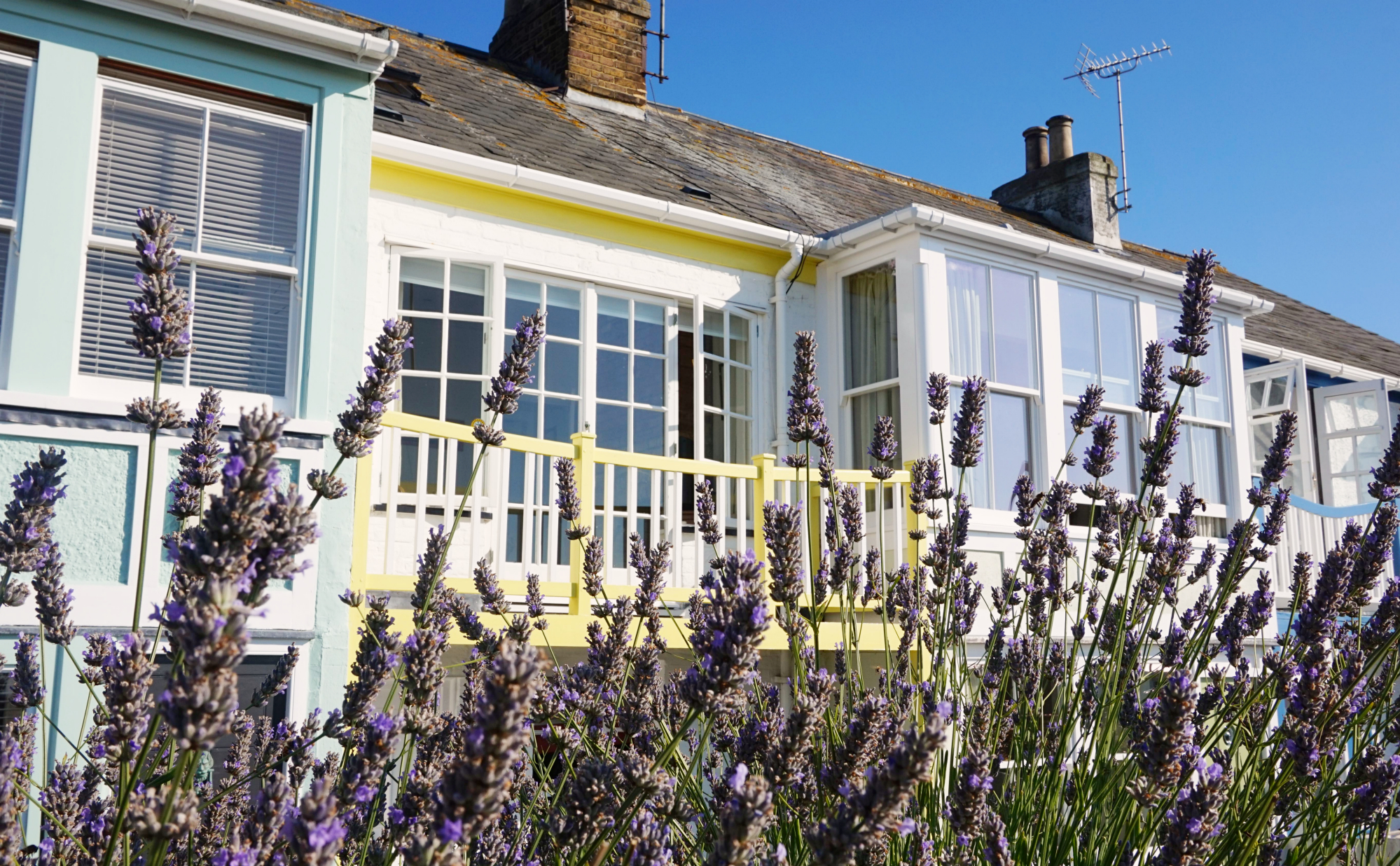 Whitstable-33