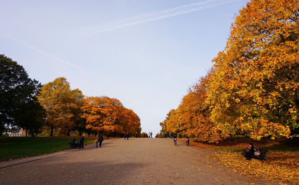 Hyde Park Broad Walk