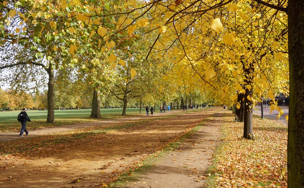 Balade-Automne-Hyde-Park-1