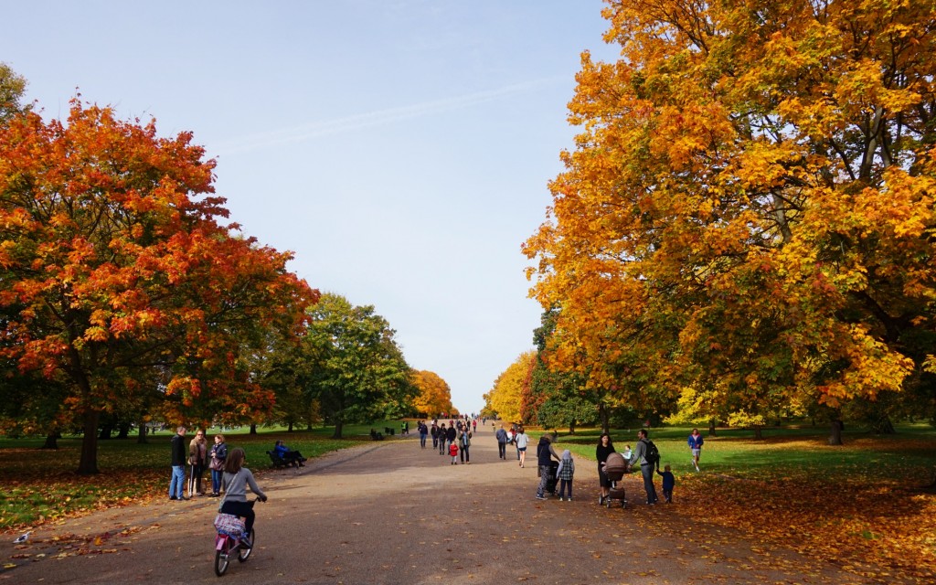 Balade-Automne-Hyde-Park-14