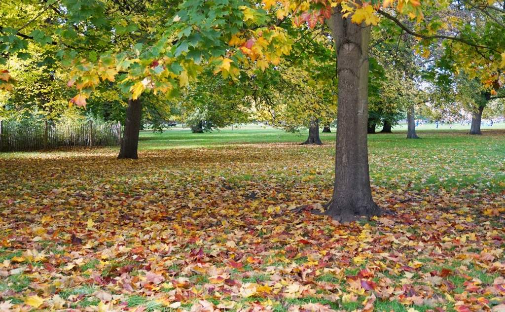 Balade-Automne-Hyde-Park-17