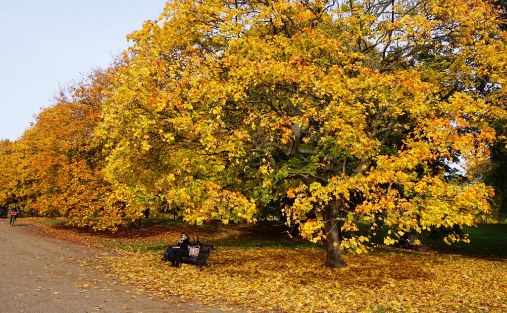 Balade-Automne-Hyde-Park-20