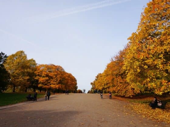 Paradis jaune à Hyde Park et Kensington Gardens