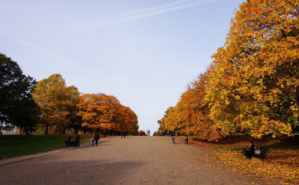 Balade-Automne-Hyde-Park-21