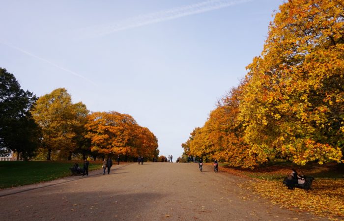 Balade-Automne-Hyde-Park-21 Balade-Automne-Hyde-Park-21