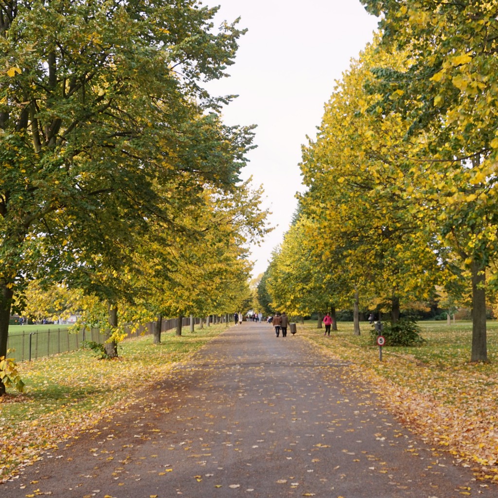 Balade-Automne-Hyde-Park-26