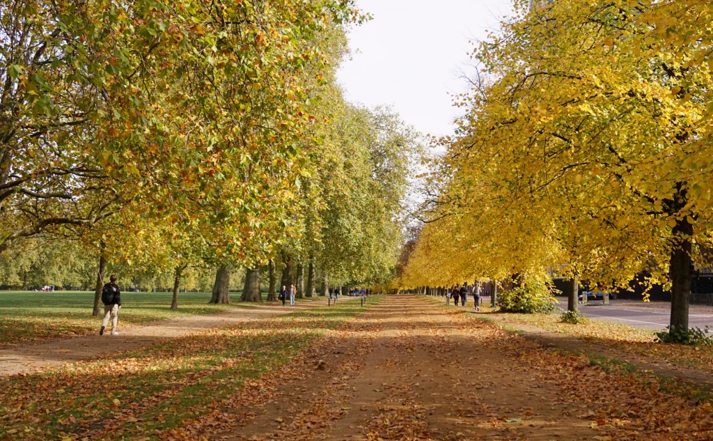 Balade-Automne-Hyde-Park-3