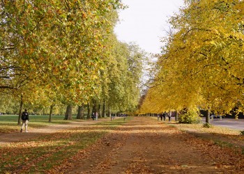 Balade-Automne-Hyde-Park-3 Balade-Automne-Hyde-Park-3