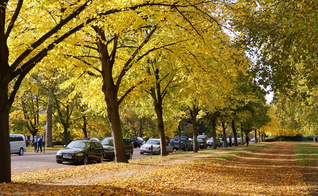 Balade-Automne-Hyde-Park-4