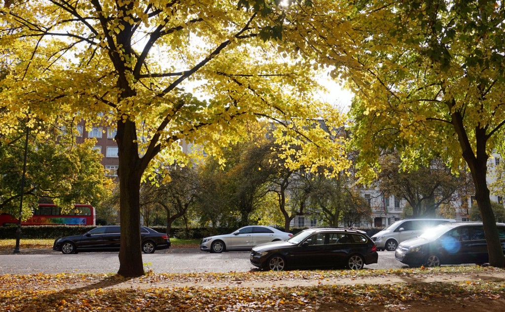 Balade-Automne-Hyde-Park-5