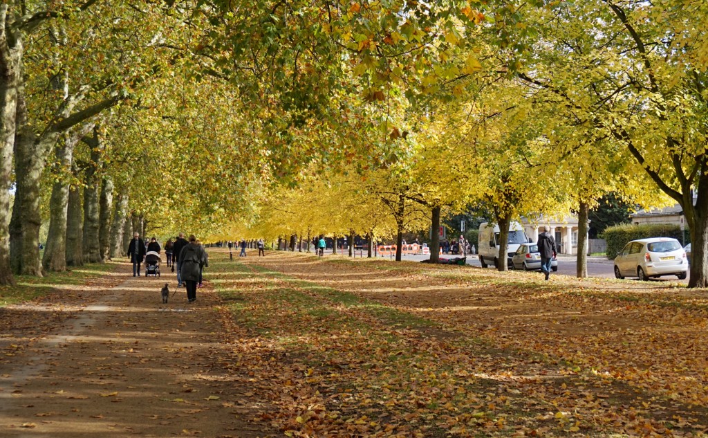 Balade-Automne-Hyde-Park-6