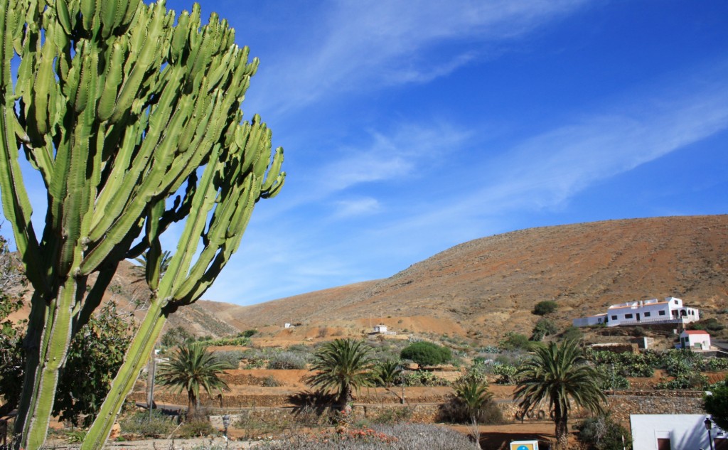 Noel-au-soleil-Fuerteventura-Betancuria 2