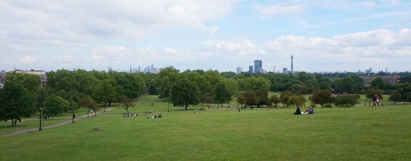 Primrose Hill 853x315 Primrose Hill 853x315