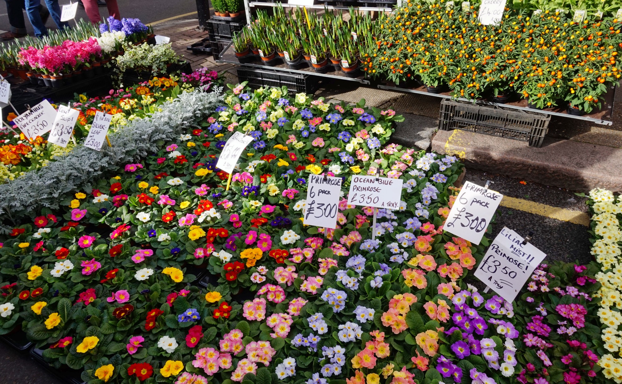 Balade-Columbia-Road-Flower-Market-1