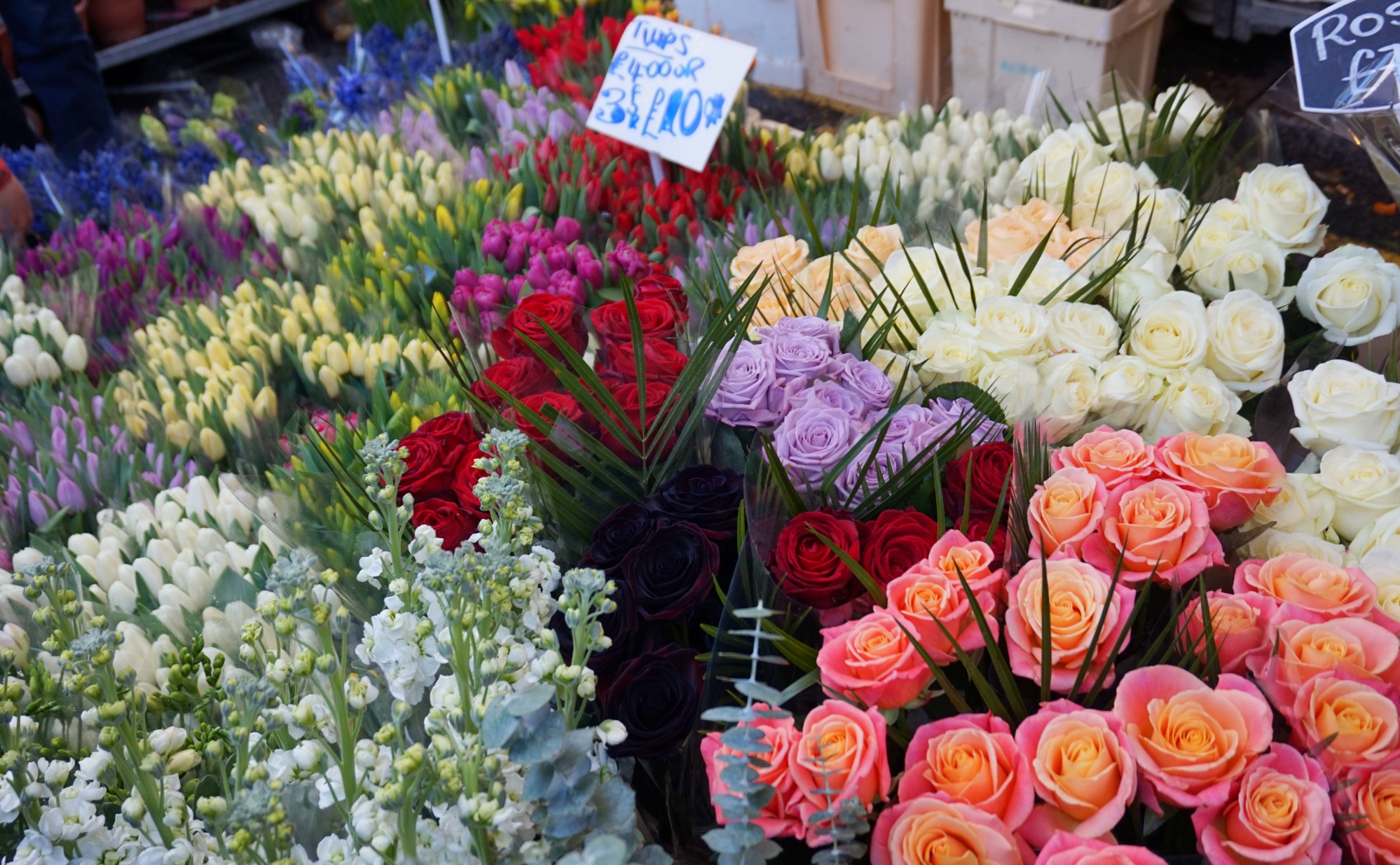 Balade-Columbia-Road-Flower-Market-10