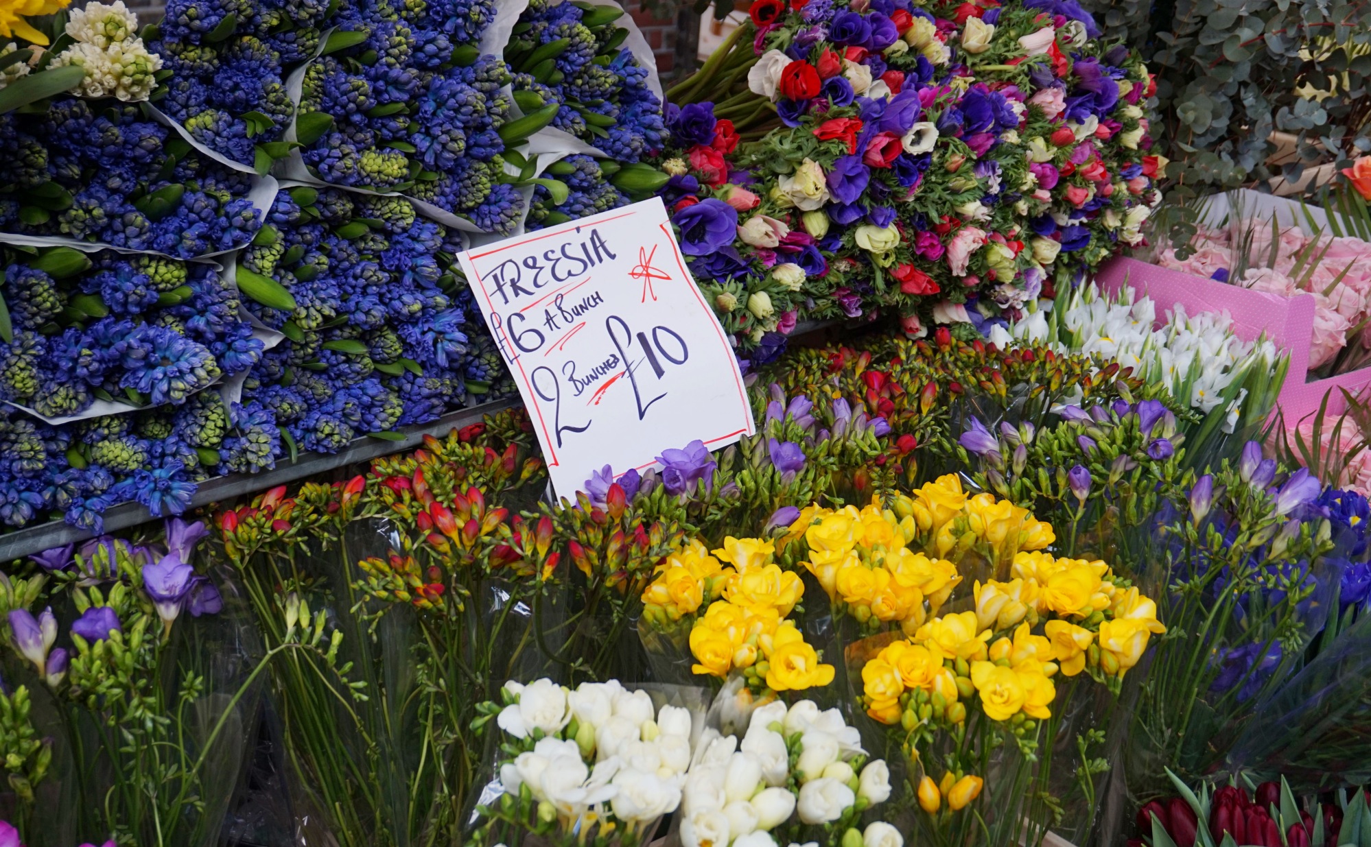 Balade-Columbia-Road-Flower-Market-11