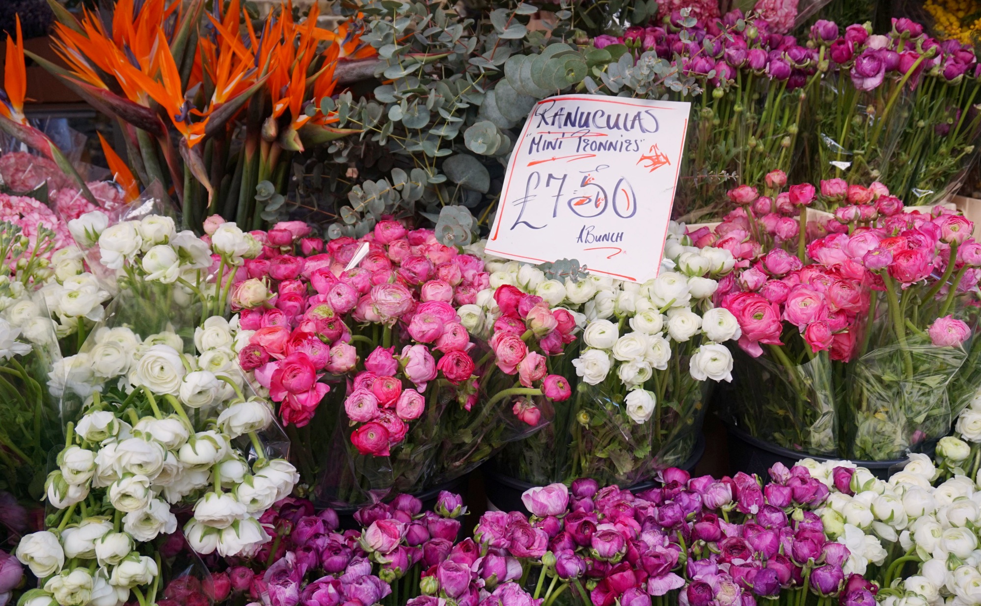 Balade-Columbia-Road-Flower-Market-12