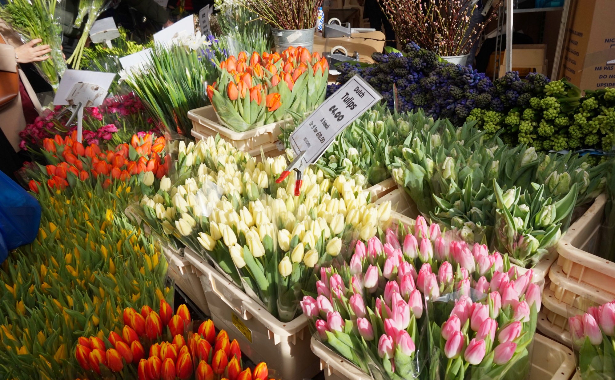 Balade-Columbia-Road-Flower-Market-2