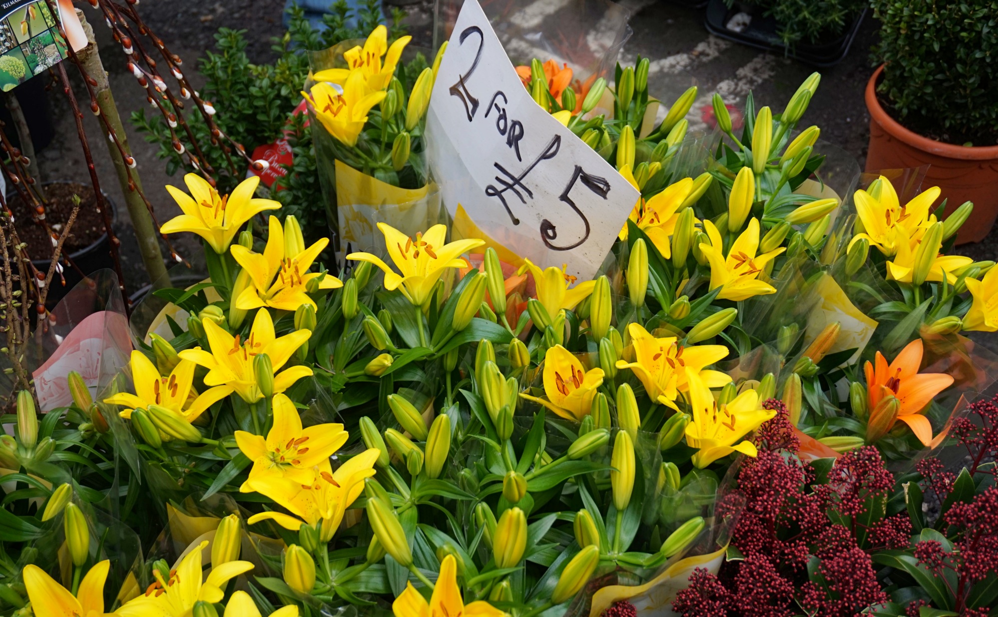 Balade-Columbia-Road-Flower-Market-4