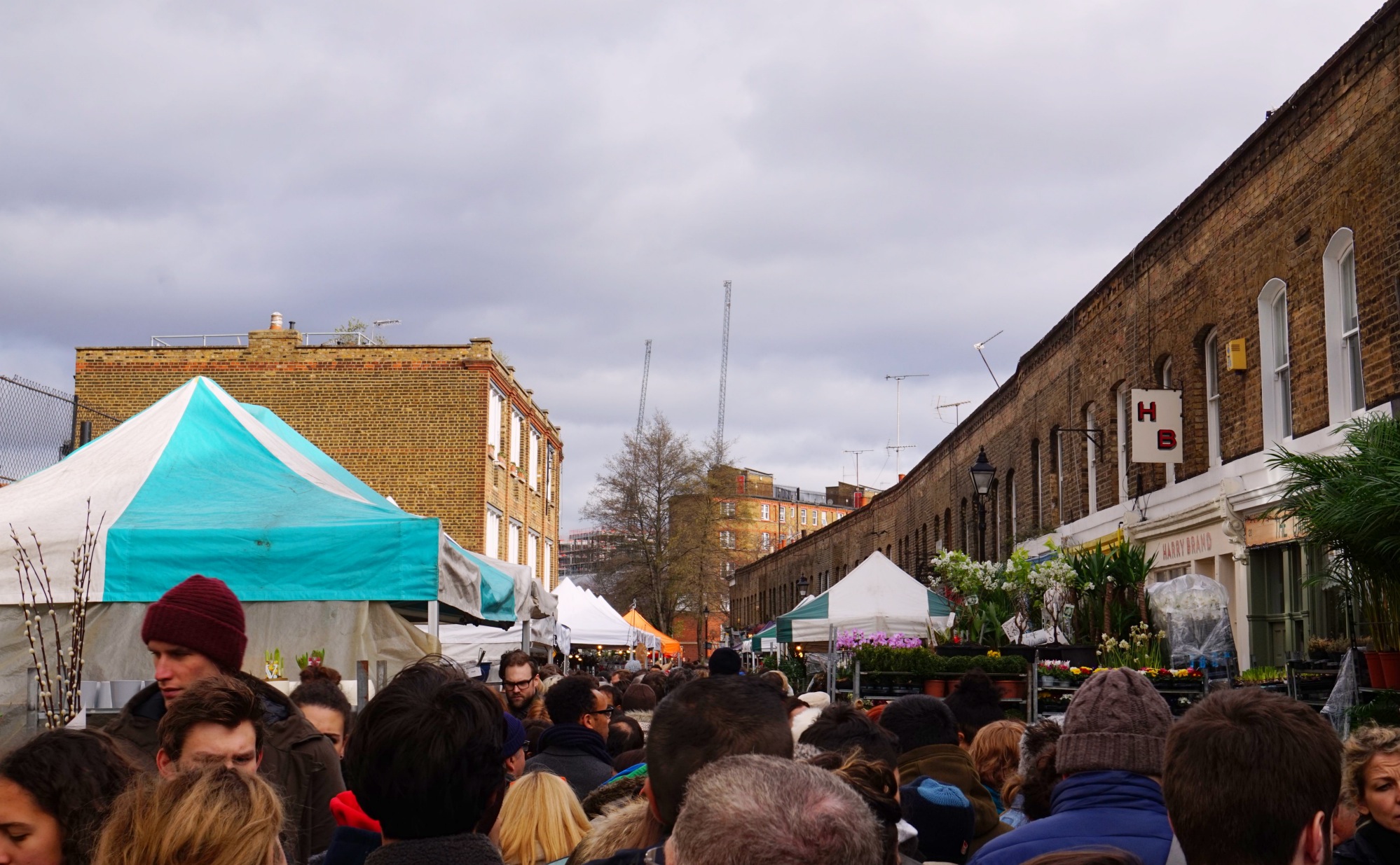 Balade-Columbia-Road-Flower-Market-5