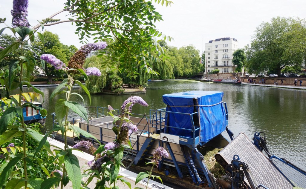 Little Venice_4
