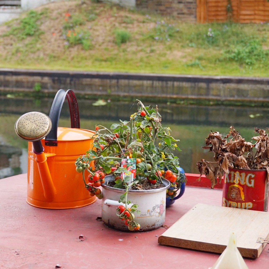 Little Venice_25_