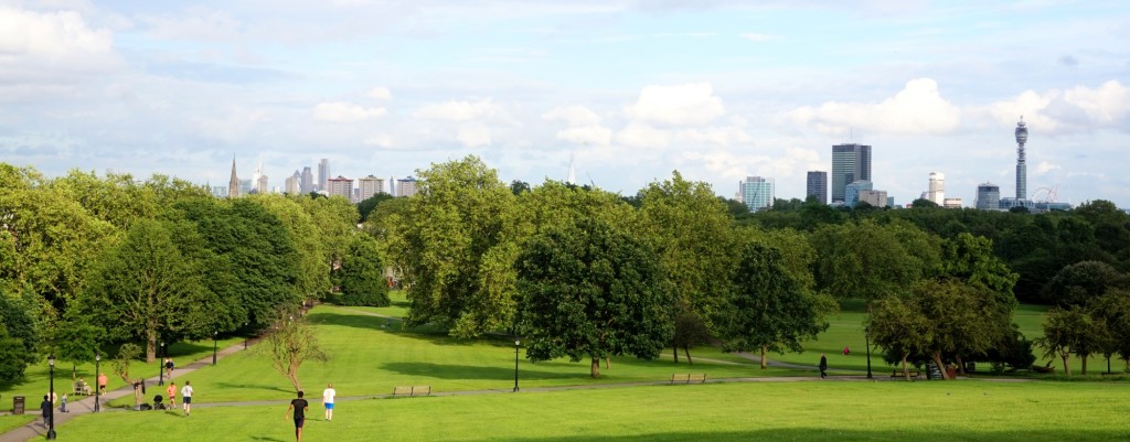 Skyline Primrose Hill