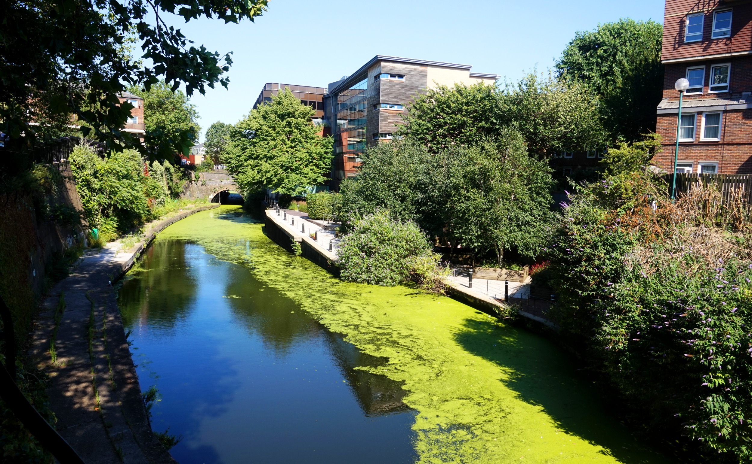 Regents-Canal-35