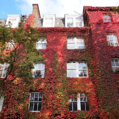 balade-islington-automne-67 balade-islington-automne-67