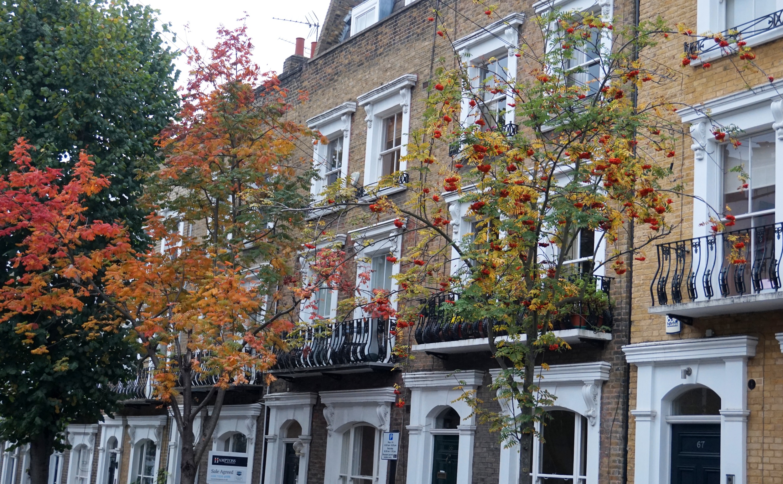 balade-islington-automne-72