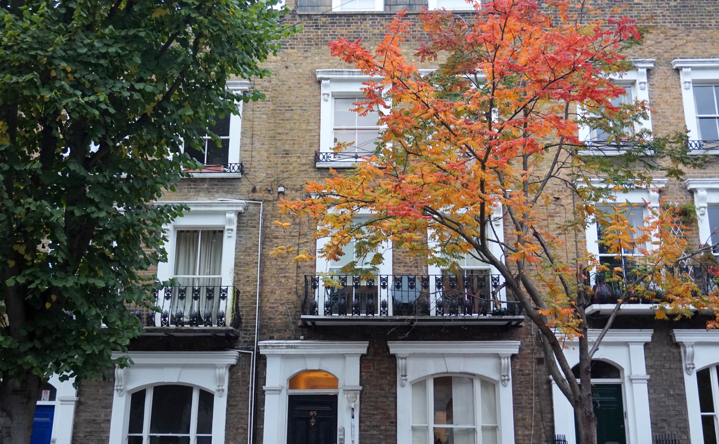 balade-islington-automne-73