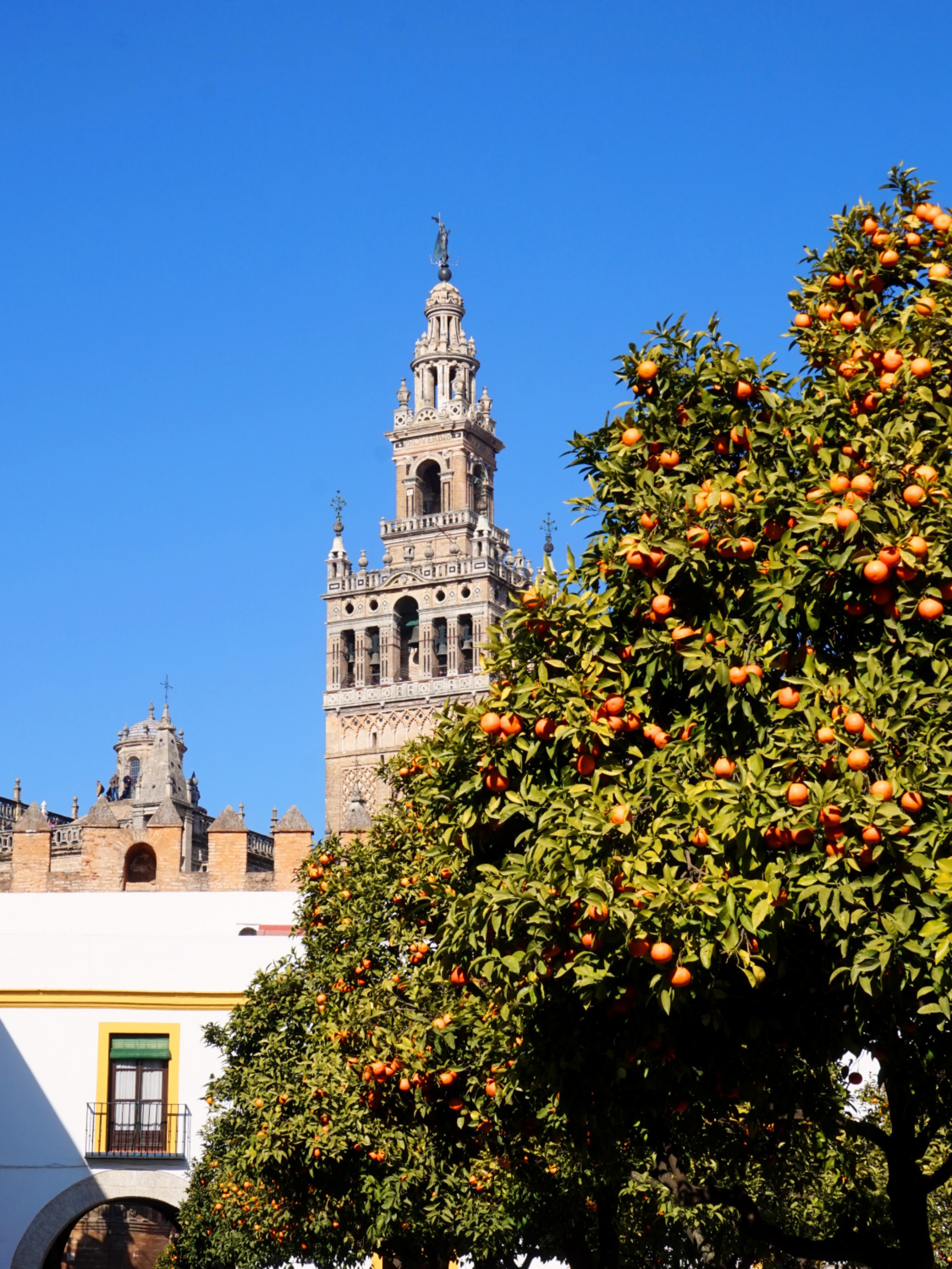 Seville-Janvier-58