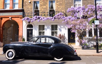 Glycine Marylebone Glycine Marylebone
