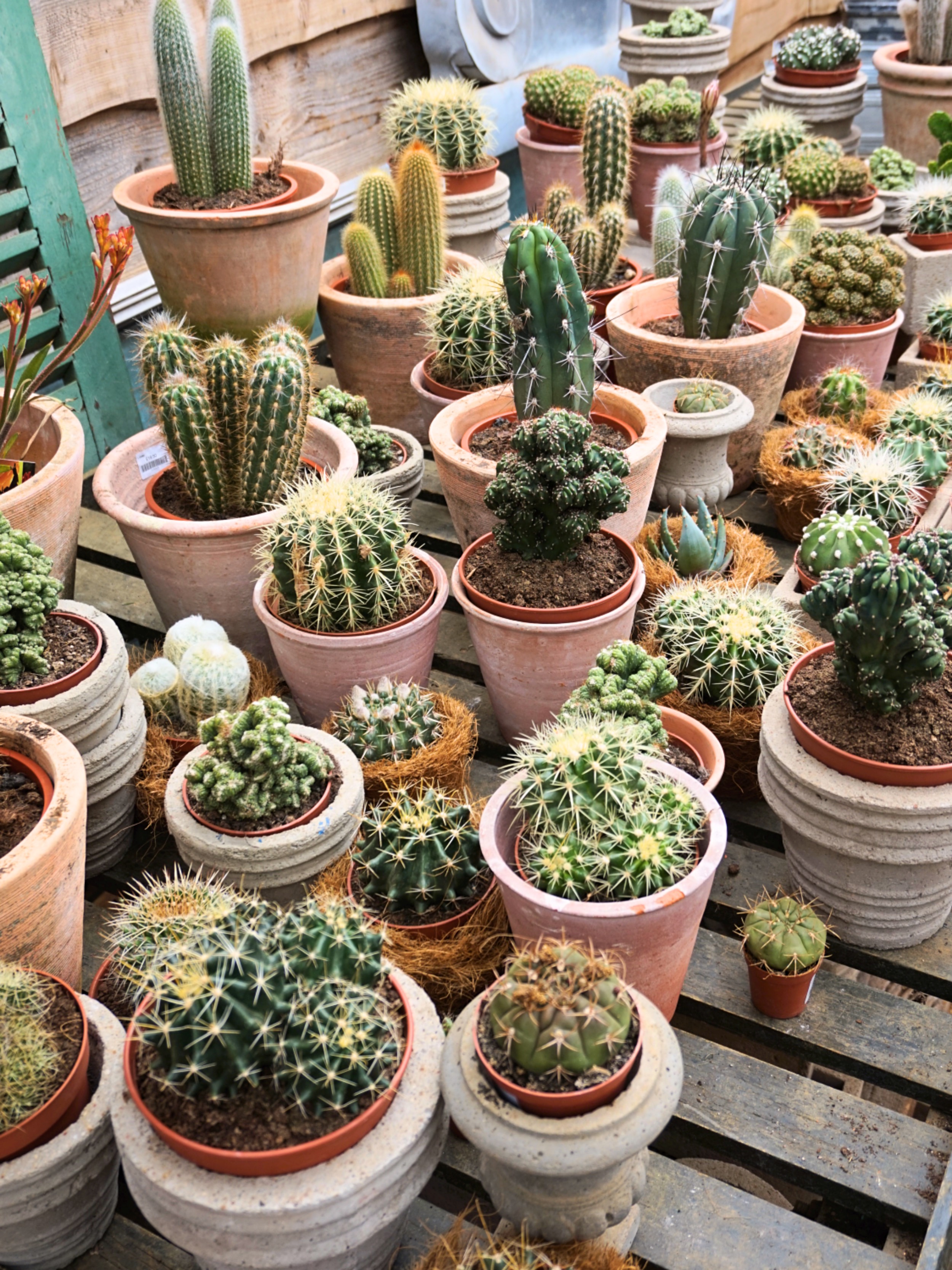 Petersham Nurseries_17