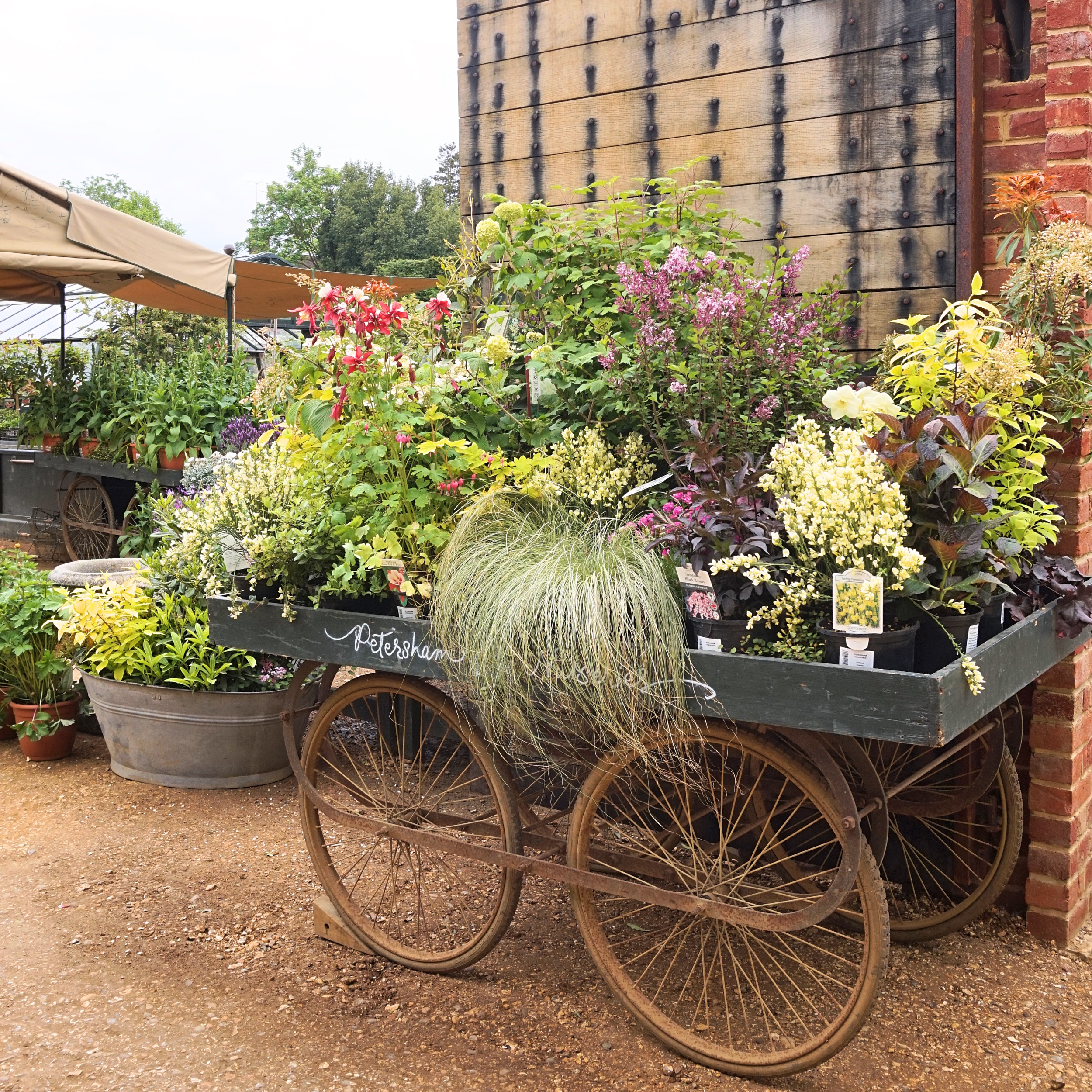 Petersham Nurseries_18