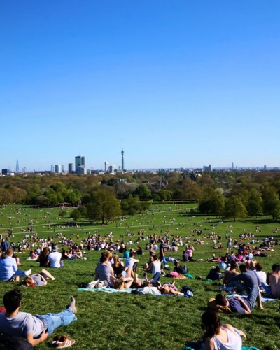 Primrose Hill Primrose Hill