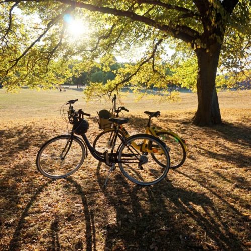 Vélo 2 Vélo 2